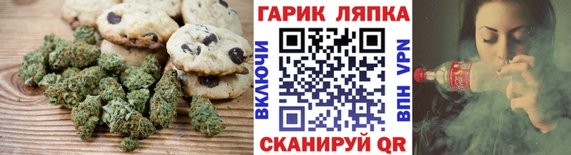 где купить Ачхой-Мартан Cannafood конопля