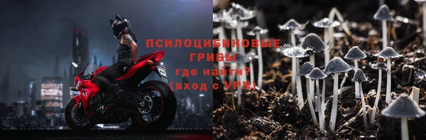 сатива Алексеевка